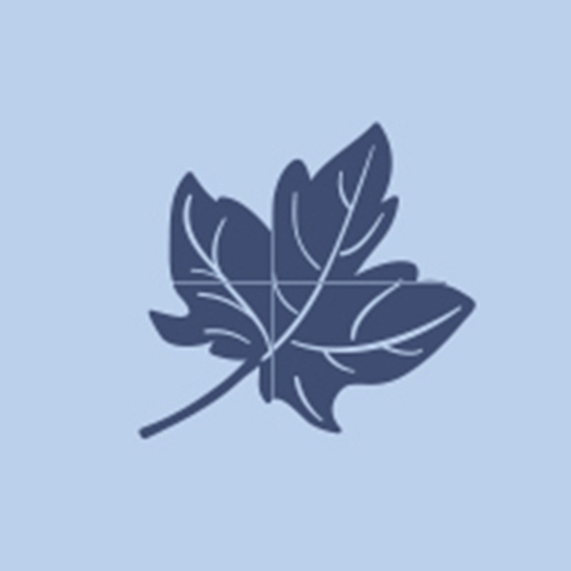 Zip Growsuit (Pale Blue Leaf)