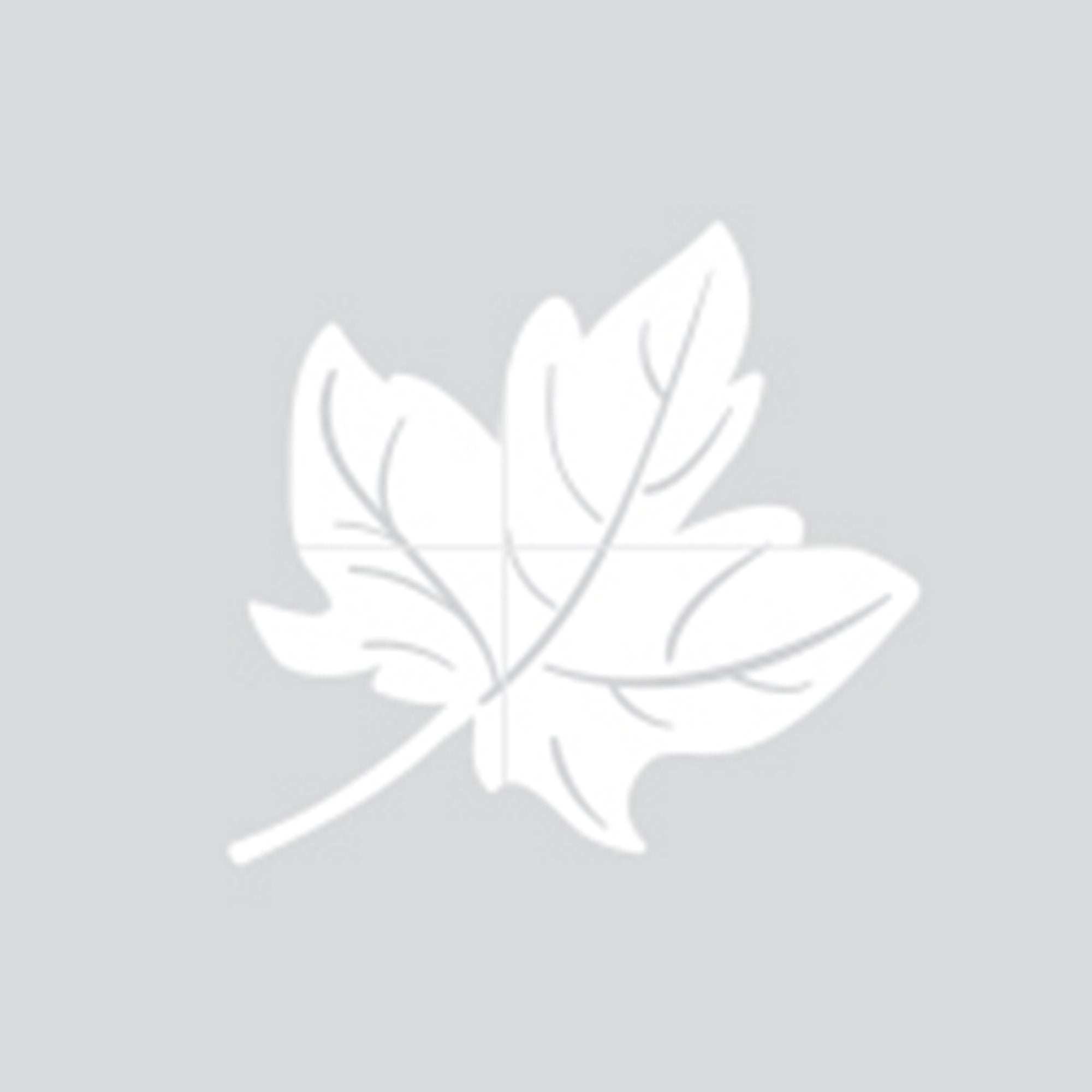 Zip Growsuit (Pale Grey Leaf)