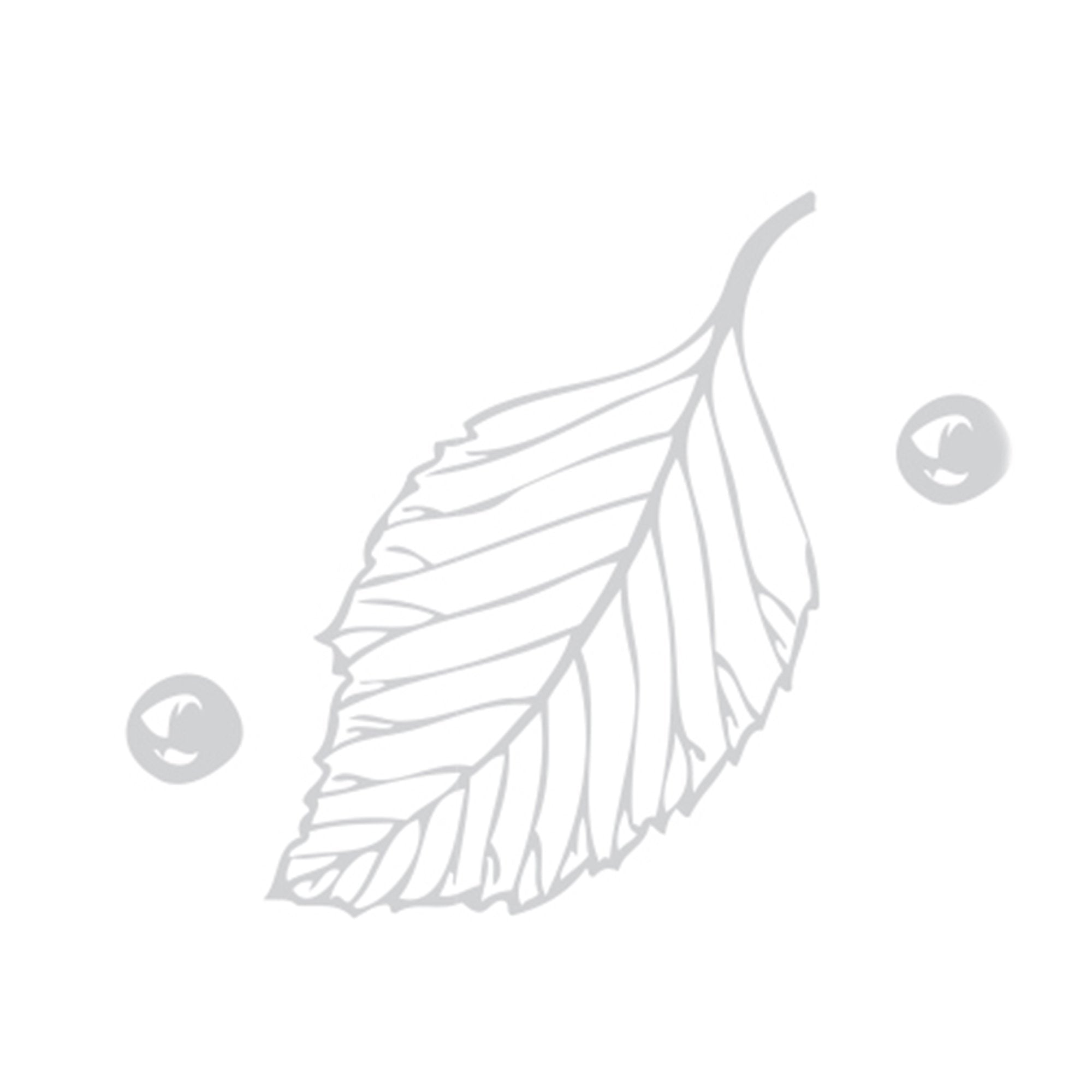 Zip Growsuit (Pale Grey Leaf w Spot)