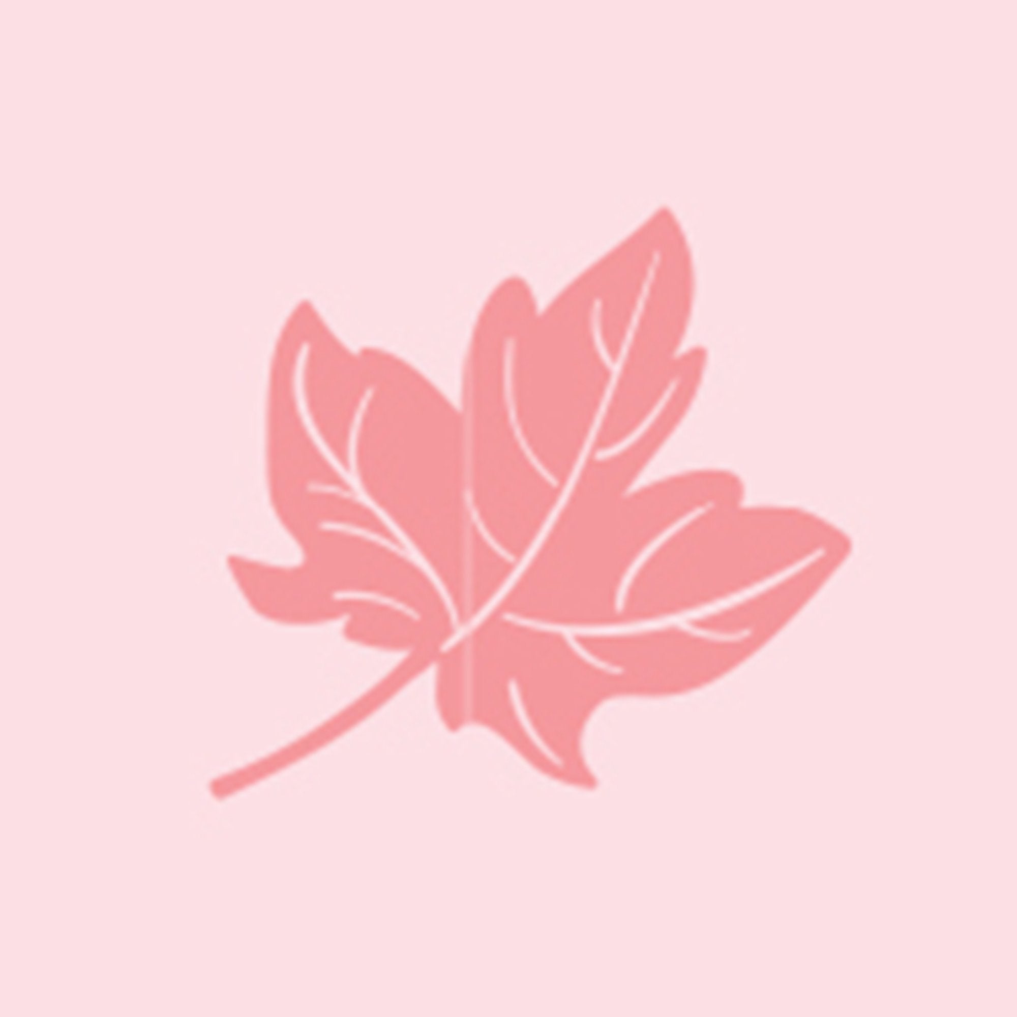 Zip Growsuit (Pale Pink Leaf)