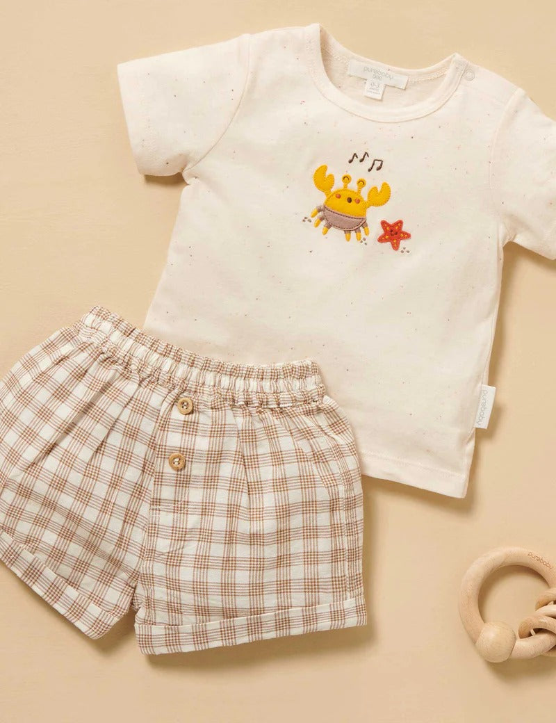 Gingham Tee and Short Set