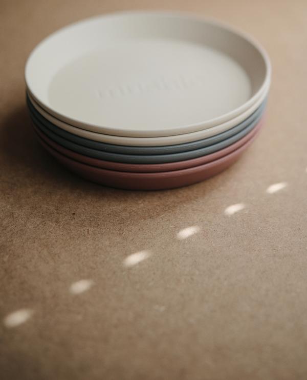 Round Dinnerware Plates, Set of 2 (Smoke)